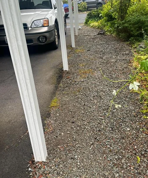 Landscaping Maintenance in Ballard 